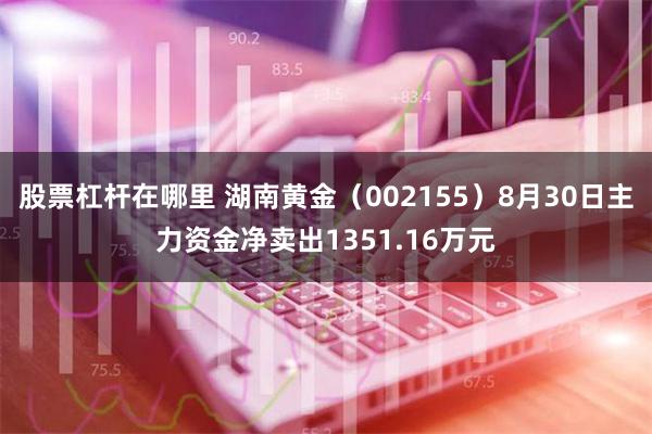 股票杠杆在哪里 湖南黄金（002155）8月30日主力资金净卖出1351.16万元