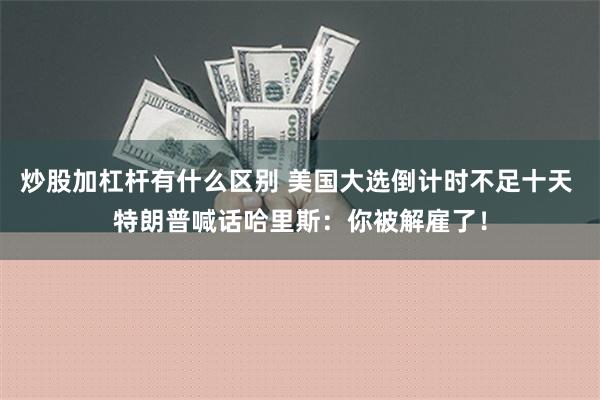 炒股加杠杆有什么区别 美国大选倒计时不足十天 特朗普喊话哈里斯：你被解雇了！