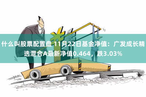 什么叫股票配置盘 11月22日基金净值：广发成长精选混合A最新净值0.464，跌3.03%