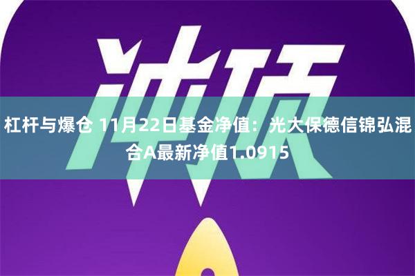 杠杆与爆仓 11月22日基金净值：光大保德信锦弘混合A最新净值1.0915