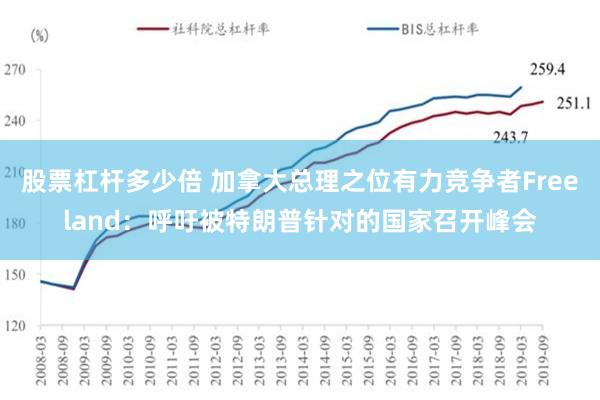 股票杠杆多少倍 加拿大总理之位有力竞争者Freeland：呼吁被特朗普针对的国家召开峰会